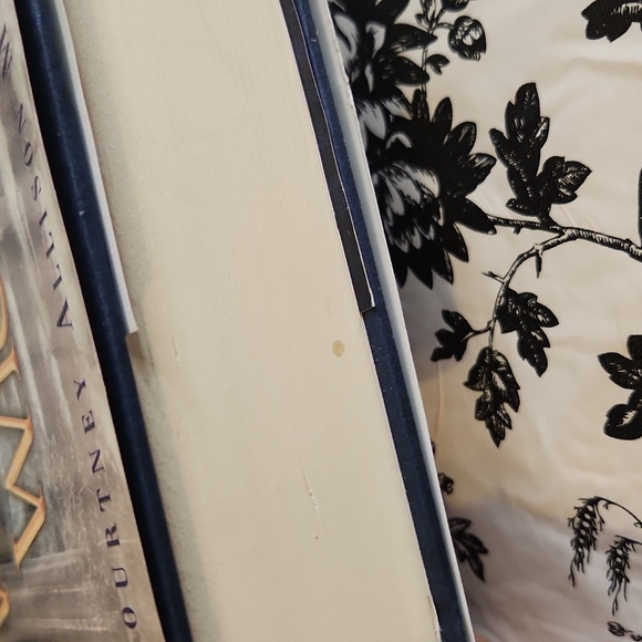 Wings of the Wicked book n9 - Picture 6 of 8